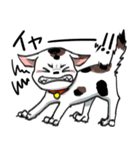 みけ猫時々町猫（個別スタンプ：11）