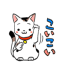 みけ猫時々町猫（個別スタンプ：16）