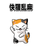 猫大好き！（大）その29（四字猫語）（個別スタンプ：5）