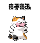 猫大好き！（大）その29（四字猫語）（個別スタンプ：6）