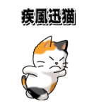 猫大好き！（大）その29（四字猫語）（個別スタンプ：7）