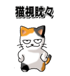 猫大好き！（大）その29（四字猫語）（個別スタンプ：10）