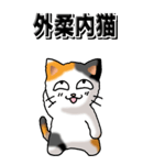 猫大好き！（大）その29（四字猫語）（個別スタンプ：13）