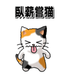 猫大好き！（大）その29（四字猫語）（個別スタンプ：14）