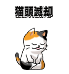 猫大好き！（大）その29（四字猫語）（個別スタンプ：17）