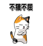 猫大好き！（大）その29（四字猫語）（個別スタンプ：20）