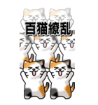 猫大好き！（大）その29（四字猫語）（個別スタンプ：23）