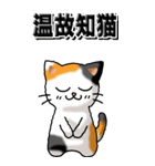 猫大好き！（大）その29（四字猫語）（個別スタンプ：24）