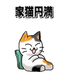 猫大好き！（大）その29（四字猫語）（個別スタンプ：26）