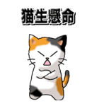 猫大好き！（大）その29（四字猫語）（個別スタンプ：30）