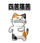 猫大好き！（大）その29（四字猫語）（個別スタンプ：31）