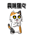 猫大好き！（大）その29（四字猫語）（個別スタンプ：32）