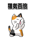 猫大好き！（大）その29（四字猫語）（個別スタンプ：38）