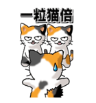 猫大好き！（大）その29（四字猫語）（個別スタンプ：39）