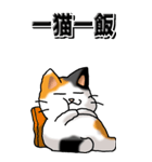 猫大好き！（大）その29（四字猫語）（個別スタンプ：40）