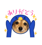 くりみわん（個別スタンプ：8）