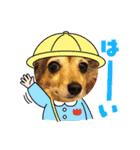 くりみわん（個別スタンプ：15）