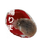 新 ハムスターとデグーの日常（個別スタンプ：7）
