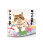 エキゾのうに（個別スタンプ：37）