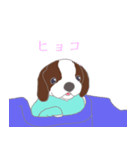 ビーさんわんこ（個別スタンプ：3）