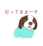 ビーさんわんこ（個別スタンプ：10）