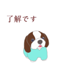 ビーさんわんこ（個別スタンプ：12）