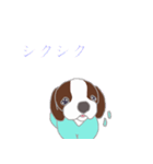 ビーさんわんこ（個別スタンプ：16）