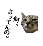 愛しのこまちのきもち（個別スタンプ：4）
