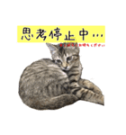 愛しのこまちのきもち（個別スタンプ：5）