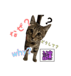 愛しのこまちのきもち（個別スタンプ：7）