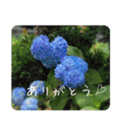 大切な人に送るスタンプ♡（個別スタンプ：8）