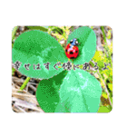 大切な人に送るスタンプ♡（個別スタンプ：24）