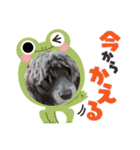 ハッピーちゃん☆スタンプ（個別スタンプ：5）