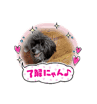 ハッピーちゃん☆スタンプ（個別スタンプ：10）