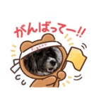 ハッピーちゃん☆スタンプ（個別スタンプ：14）