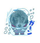 ハッピーちゃん☆スタンプ（個別スタンプ：16）
