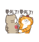 ランラン猫 31 (台湾版)（個別スタンプ：5）