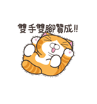 ランラン猫 31 (台湾版)（個別スタンプ：7）