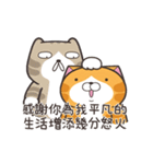 ランラン猫 31 (台湾版)（個別スタンプ：14）