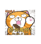 ランラン猫 31 (台湾版)（個別スタンプ：15）