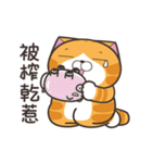 ランラン猫 31 (台湾版)（個別スタンプ：17）