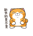 ランラン猫 31 (台湾版)（個別スタンプ：18）