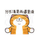 ランラン猫 31 (台湾版)（個別スタンプ：19）