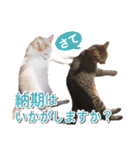 営業さんの猫スタンプ（個別スタンプ：25）