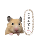 ●キンクマハムスター心の声●（個別スタンプ：30）