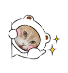 アーユルキャット クリスマスとお正月（個別スタンプ：8）