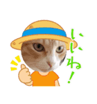 アーユルキャット クリスマスとお正月（個別スタンプ：12）