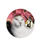 アーユルキャット クリスマスとお正月（個別スタンプ：21）