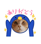 アーユルキャット クリスマスとお正月（個別スタンプ：22）