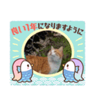 アーユルキャット クリスマスとお正月（個別スタンプ：29）